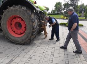 Veszprém Vármegyei Bv. Intézet