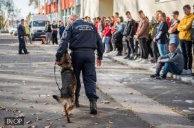 A kutyás szolgálat is bemutatkozott az oktaási központ nyílt napján